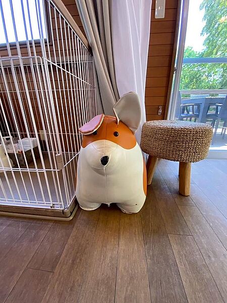 室内