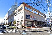 BiVi(ビビ)藤枝