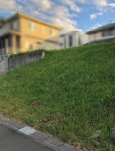 を拡大表示