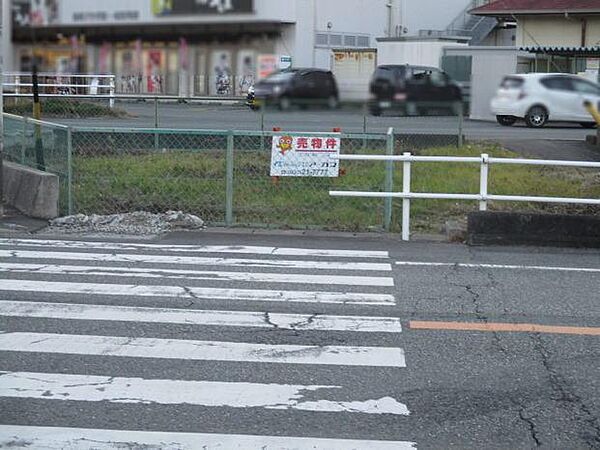 を拡大表示