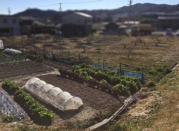 その他を拡大表示