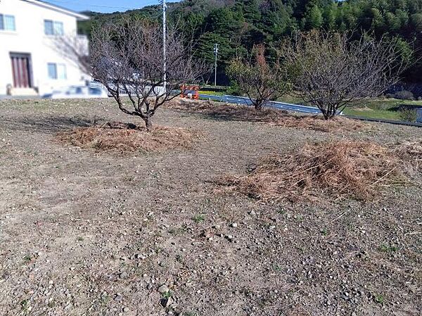 を拡大表示