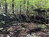 石垣と廃れた小屋がそのまま置かれています。