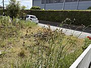 北側境界フエンス　白色より敷地西面。今後駐車場予定地