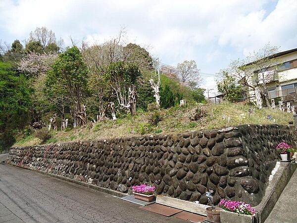 その他を拡大表示