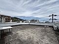 屋上からは湯河...