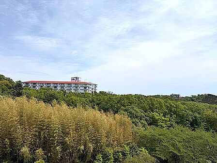 バルコニーより 正面