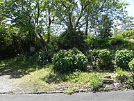 静岡県伊東市富戸大室高原：物件画像