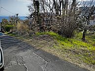 静岡県伊東市池大室高原：物件画像