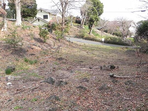 その他を拡大表示