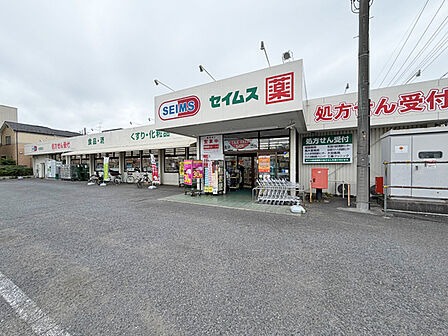 徒歩圏内にはドラッグストア「セイムス」があり、日用品や医薬品の購入にも便利な立地。