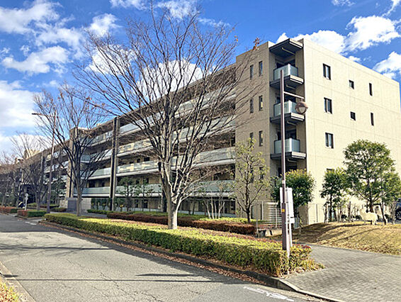 街並みに調和す...
