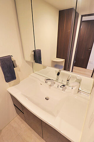 洗面 レーベン新小岩ｉｎｎｏｖｉａ 4階/-