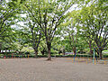 鹿沼公園まで約...