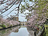 周辺：北側の毛長川と桜並木