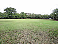 蕨市民公園　約...
