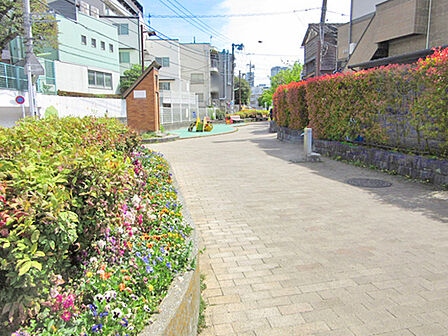 烏山川緑道　約100ｍ、徒歩2分
