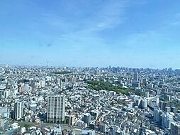 リビングから東京タワーやスカイツリーが眺められます