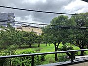 近隣の公園が見えます（新築時）