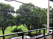 近隣の公園が見えます（新築時）