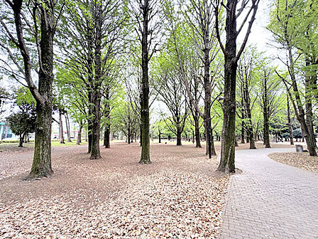 芦花公園