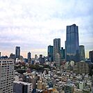 ◆LDから北側（麻布台ヒルズ方面）を望む、日中の眺望～LDからの日中の眺望～