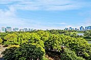 皇居・千鳥ヶ淵公園を望む開放的な眺望