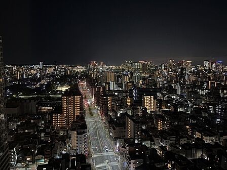 住戸からの夜景眺望