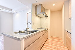 キッチンには、浄水機能・ディスポーザー・カップボード(オプション)が備え付けられています。【キッチン】