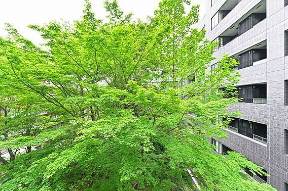 住戸からは中庭...