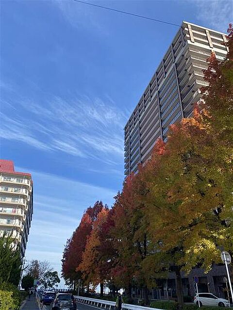 3 / 11