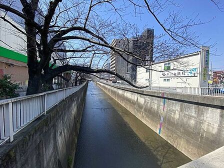 石神井川 800m