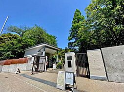 小石川植物園 1100m