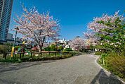 富久さくら公園 900m