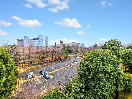 南側リビングダイニングからの眺望、東京大学緑をのぞみます。