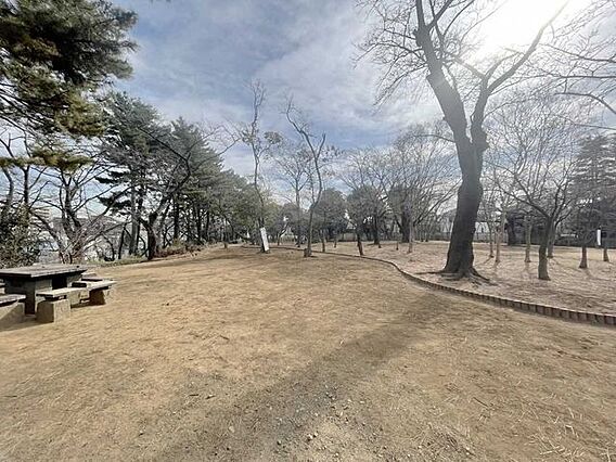 板橋区毛呂山公...