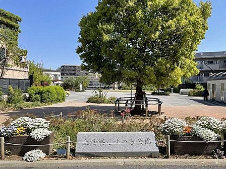 上池袋くすの木公園 330m