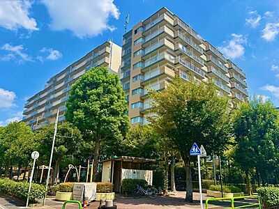 外観 外観