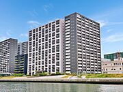 写真中央/対象住戸は朝潮運河沿い/建物左手は自走式駐車場棟