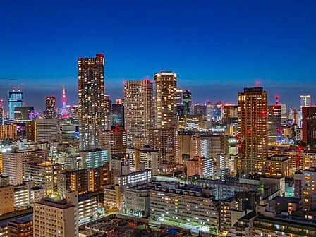 都心と東京タワーを楽しめる夜景（ズームなし・天候による）