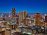 その他：都心と東京タワーを望める夜景（ズームなし・天候による）