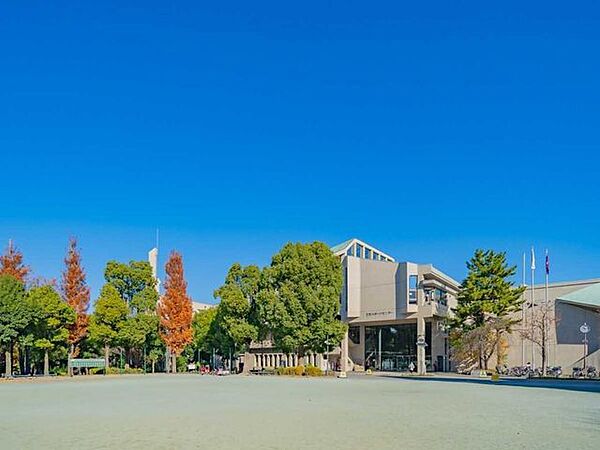 周辺を拡大表示