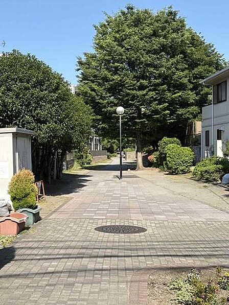 緑道 50m
