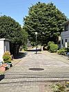緑道 50m