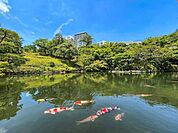  八芳園 700m