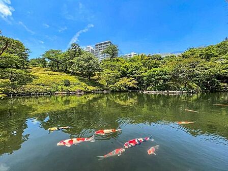 八芳園 700m