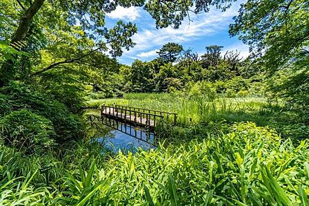 国立科学博物館附属 自然教育園 1040m