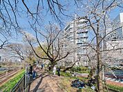 外堀公園緑道 10m