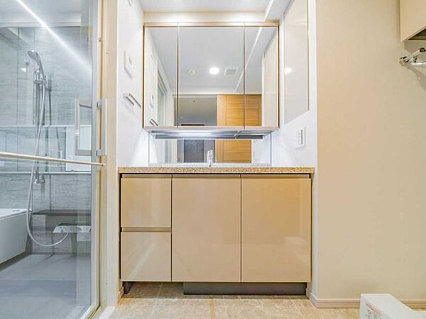 洗面を拡大表示