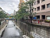 目黒川 300m